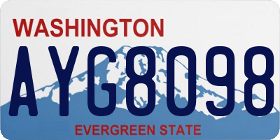 WA license plate AYG8098