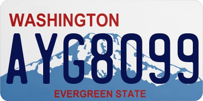 WA license plate AYG8099
