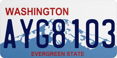 WA license plate AYG8103