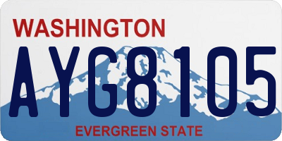 WA license plate AYG8105