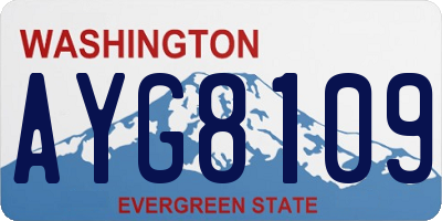 WA license plate AYG8109