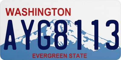 WA license plate AYG8113