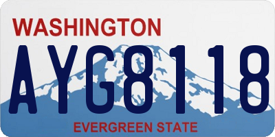 WA license plate AYG8118
