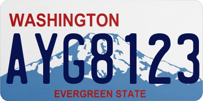 WA license plate AYG8123