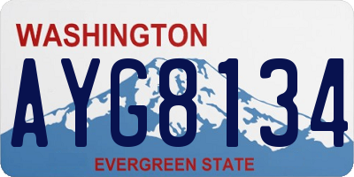 WA license plate AYG8134