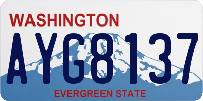 WA license plate AYG8137