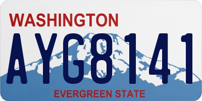 WA license plate AYG8141