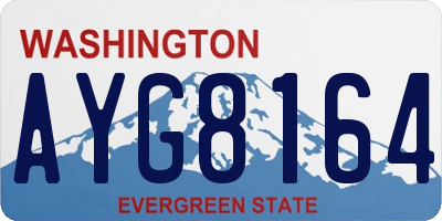 WA license plate AYG8164