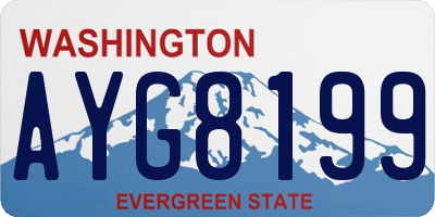 WA license plate AYG8199