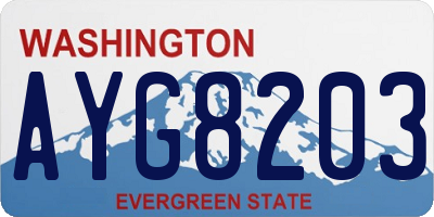 WA license plate AYG8203