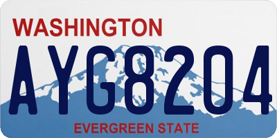 WA license plate AYG8204