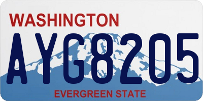 WA license plate AYG8205