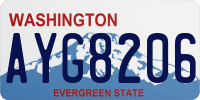 WA license plate AYG8206