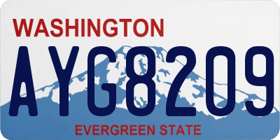 WA license plate AYG8209
