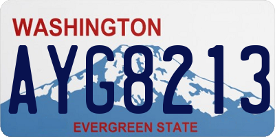 WA license plate AYG8213