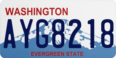 WA license plate AYG8218