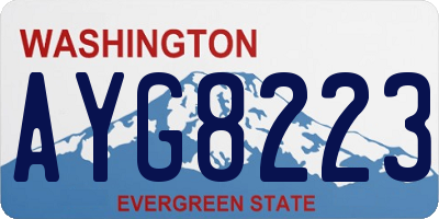 WA license plate AYG8223