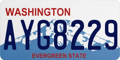 WA license plate AYG8229
