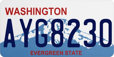 WA license plate AYG8230