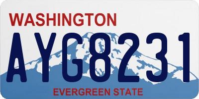 WA license plate AYG8231