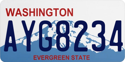 WA license plate AYG8234