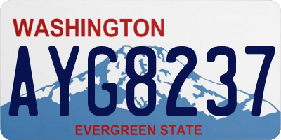 WA license plate AYG8237