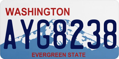 WA license plate AYG8238