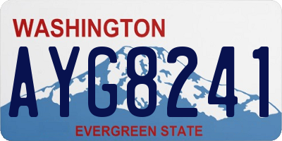 WA license plate AYG8241
