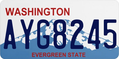WA license plate AYG8245