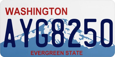 WA license plate AYG8250