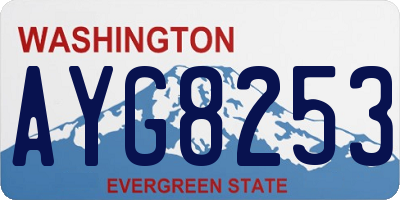 WA license plate AYG8253