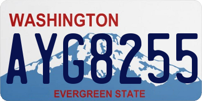 WA license plate AYG8255