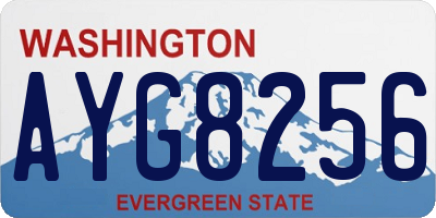 WA license plate AYG8256