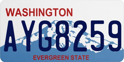WA license plate AYG8259