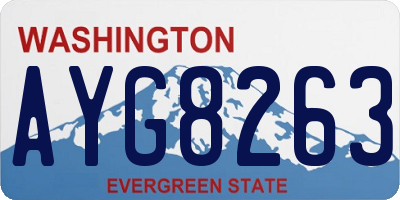 WA license plate AYG8263