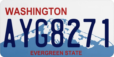 WA license plate AYG8271