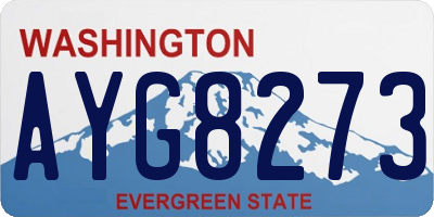 WA license plate AYG8273