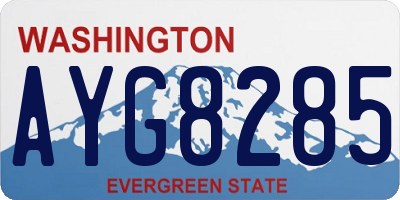 WA license plate AYG8285