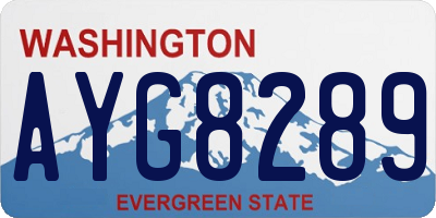 WA license plate AYG8289