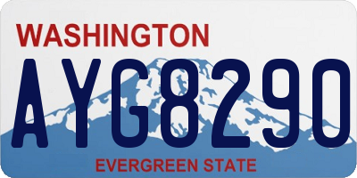 WA license plate AYG8290