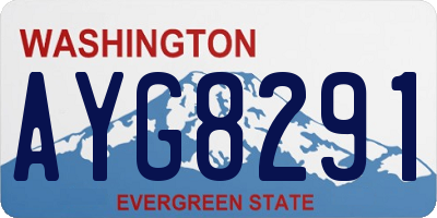 WA license plate AYG8291