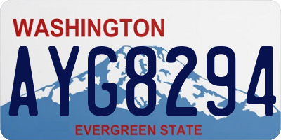 WA license plate AYG8294