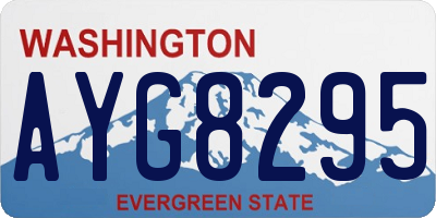 WA license plate AYG8295