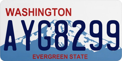 WA license plate AYG8299