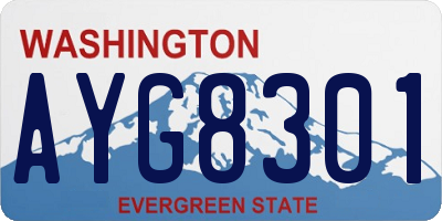 WA license plate AYG8301