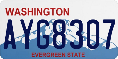 WA license plate AYG8307