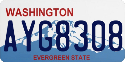 WA license plate AYG8308