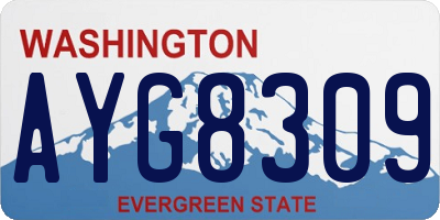 WA license plate AYG8309