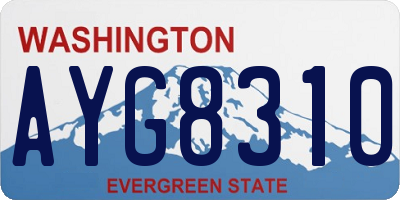 WA license plate AYG8310