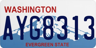 WA license plate AYG8313
